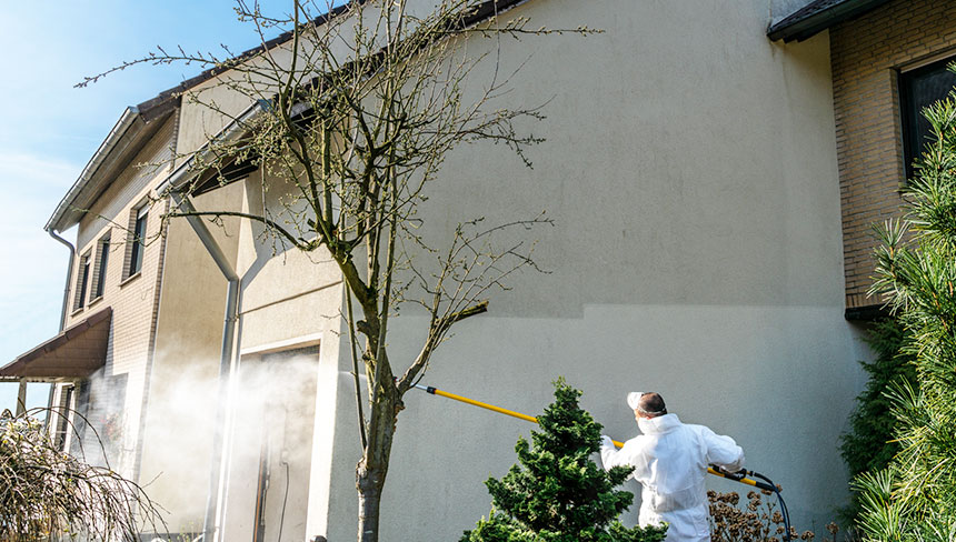 Nettoyage de façade